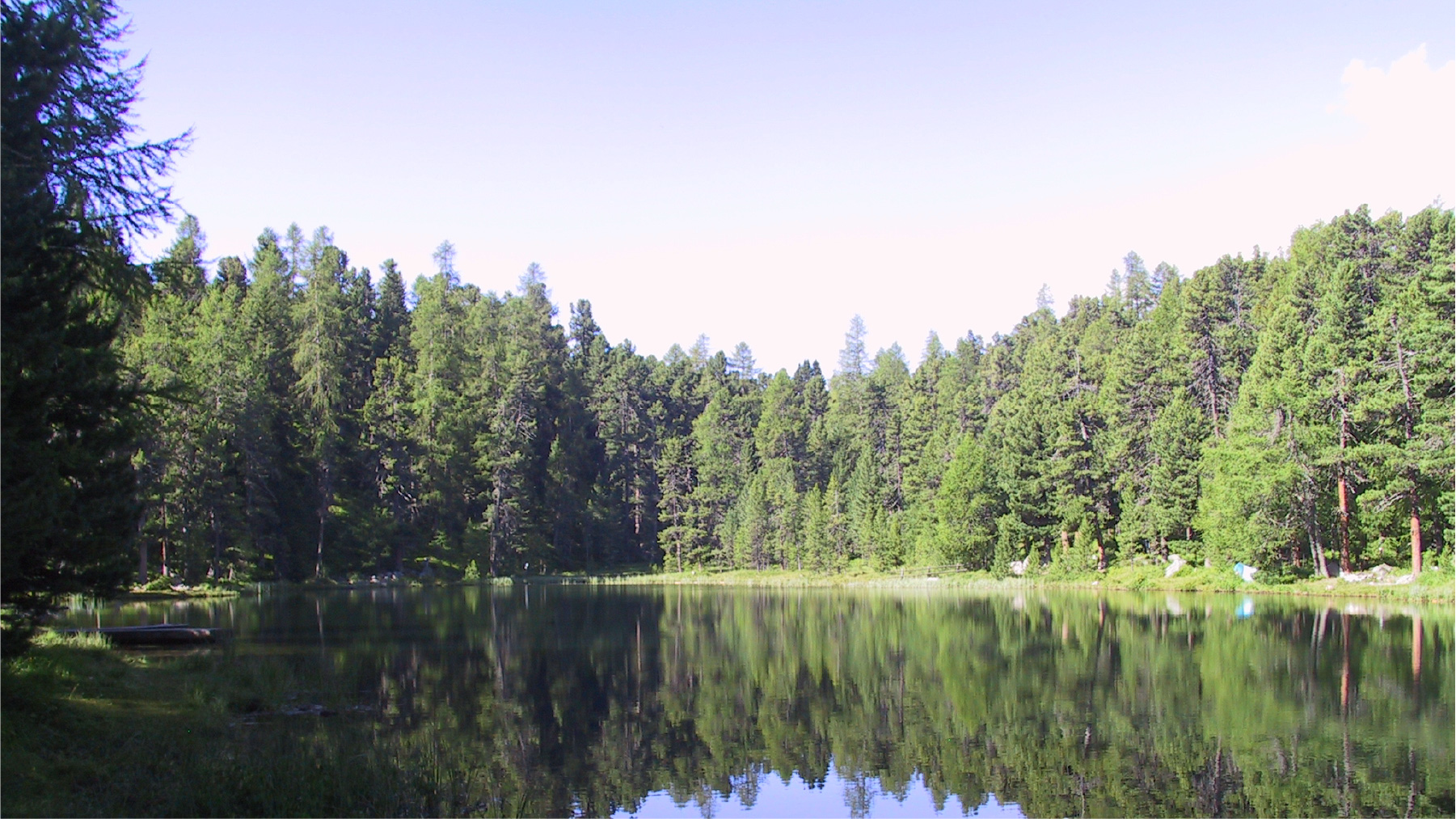 Smell the Forest Heidi*s Sensory Travels